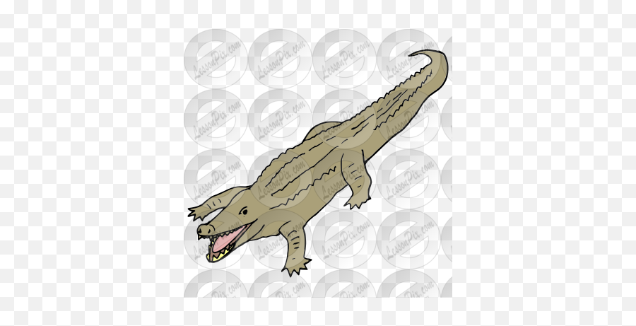 Crocodile Picture For Classroom - Canine Tooth Emoji,Facebook Emoticons Alligator