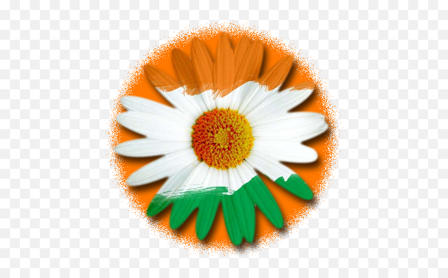 Appsbazaar - Blog Independence Day Emoji,450 Facebook Emoticons Apk