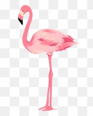 Flamingo Transparent Background - Transparent Background Flamingo Png Emoji,Flamongo Emoji