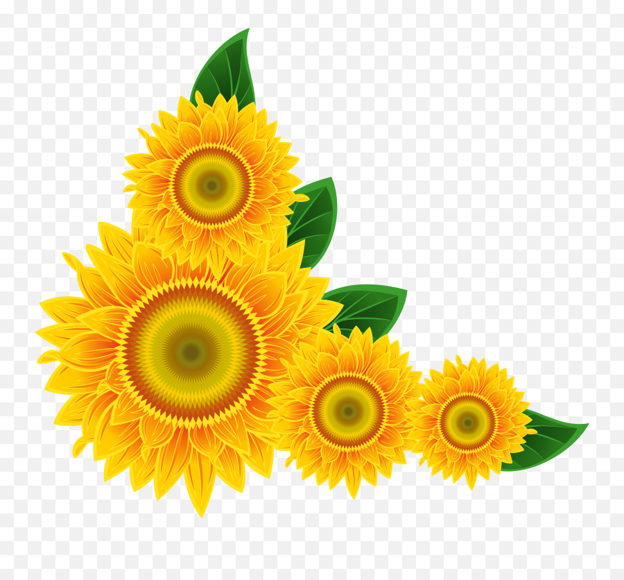 Free Sunflower School Cliparts Download Free Clip Art Free - Border Sunflower Clipart Emoji,Sun Flower Emoji