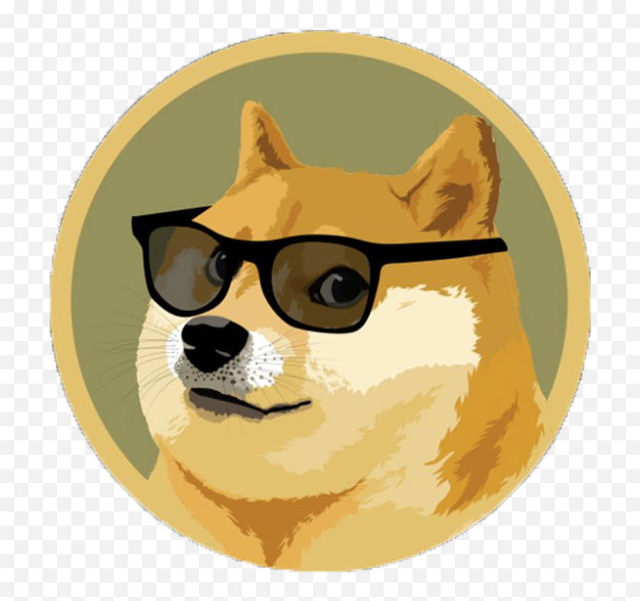 Doge usdt. Догикоин. Крипта догикоин. Шиба ину криптовалюта. Dogecoin собака.