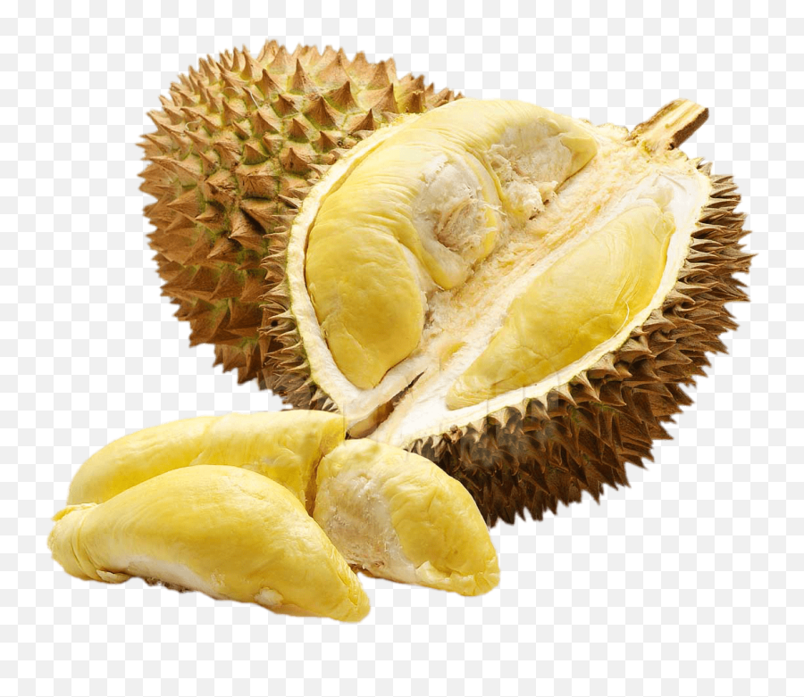 The Most Edited Sucks Picsart Emoji,Durian Emoticon