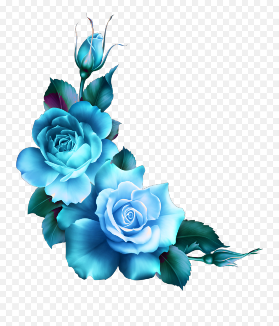 Mq Blue Roses Flowers Flower Rose - Border Blue Rose Png Emoji,Blue Rose Emoji