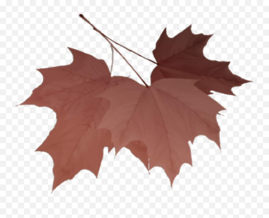 Freetoedit Leaf Sticker - Lovely Emoji,Red Leaf Emoji