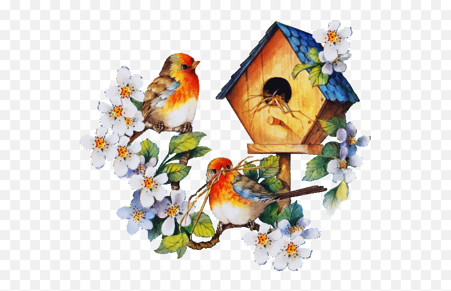 Top 20 Transparent Birds Gifs - Birds Home Nest Animated Gif Emoji,Bird Nest Emoji