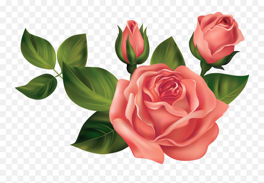 Rose Emoji - Transparent Roses Hd Png Download Original Transparent Images Of Roses,Red Rose Emoji