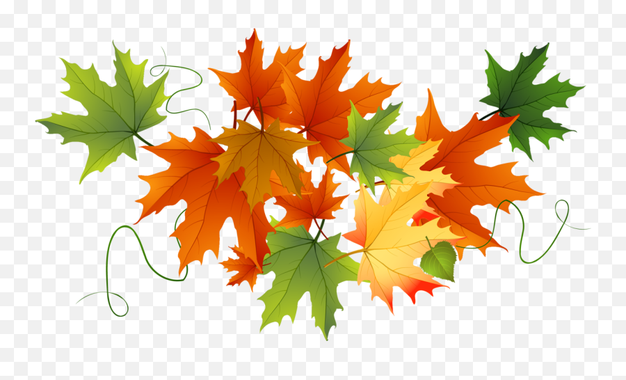 Library Of Leaves Thanksgiving Picture Black And White Png - Transparent Fall Leaves No Background Emoji,Maple Leaf Emoji Png