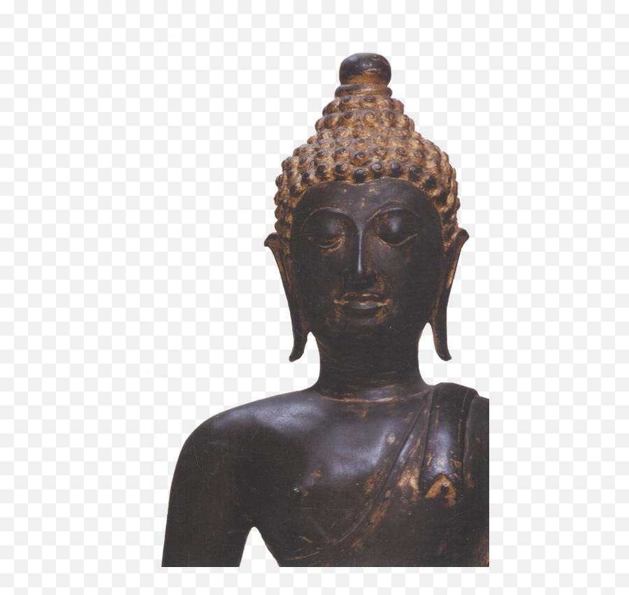 For Subtle Anatomy Transcending - What The Buddha Thought Emoji,Work Emotion Cr Ultimate Bronze