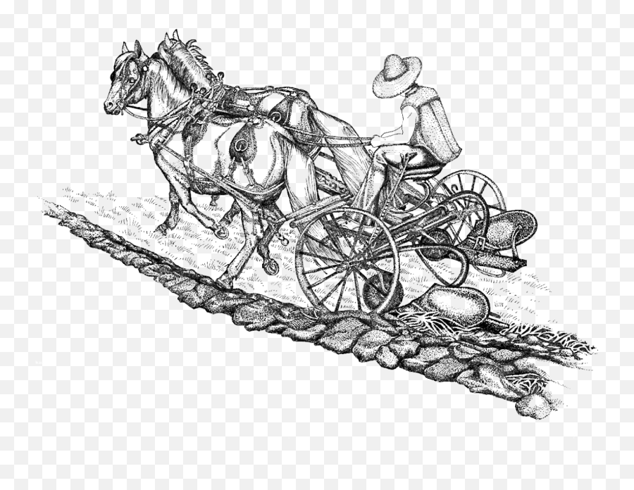 Getting Started Behind The Plow - Horse Harness Emoji,Emotion Reason Like Two Horses Pulling Same Cart