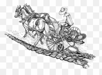 Getting Started Behind The Plow - Horse Harness Emoji,Emotion Reason Like Two Horses Pulling Same Cart
