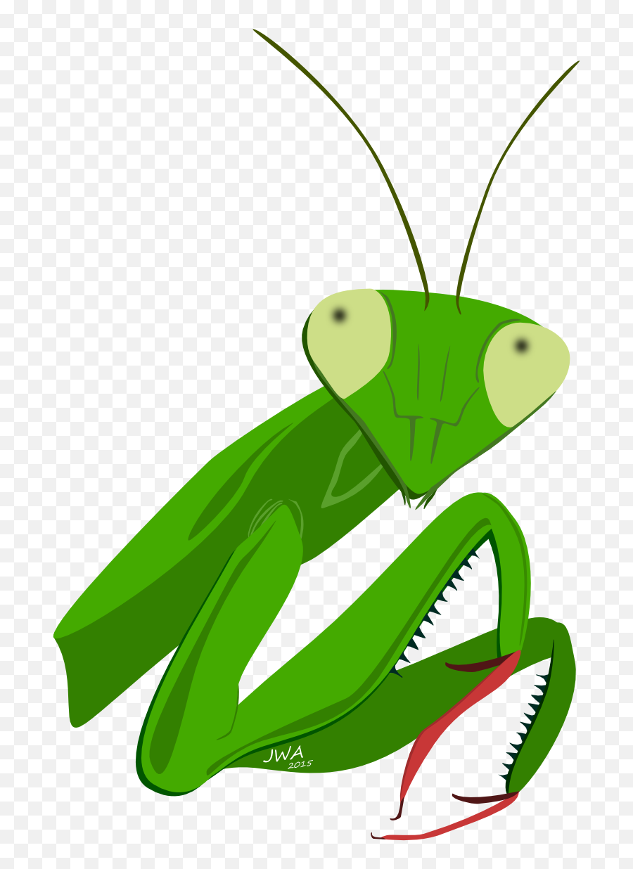 Grasshopper Clipart Clip Art - Parasitism Emoji,Mantis Emoji