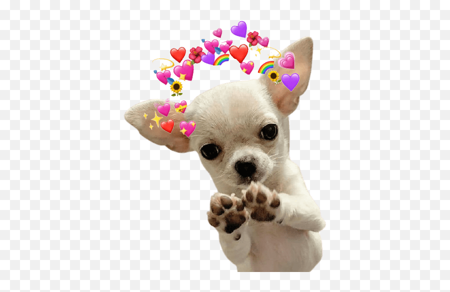 Chihuahuas Tiernos - Dog Toy Emoji,Doggo Emoji