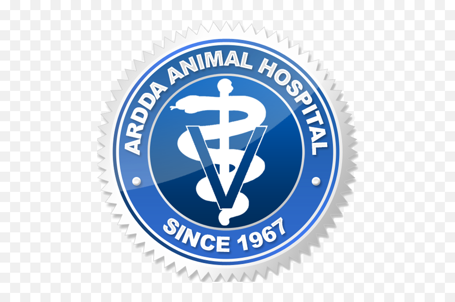 Ardda Animal Hospital - Veterinarian In Greece Ny Lifetime Guarantee Emoji,Emotion Pets Milky The Bunny Reviews