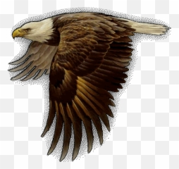 Majestic Eagle Flying Gif Explore And Share The Best Eagle - Animated Transparent Eagle Gif Emoji,:thegoldeneagle: Emoticon