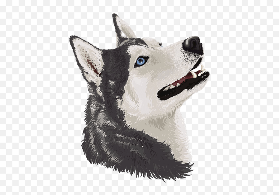 Dogs With The Strongest Bite Force U0026 Jaw Pressures Top 15 List - Siberian Husky Emoji,Husky Stages Of Emotion