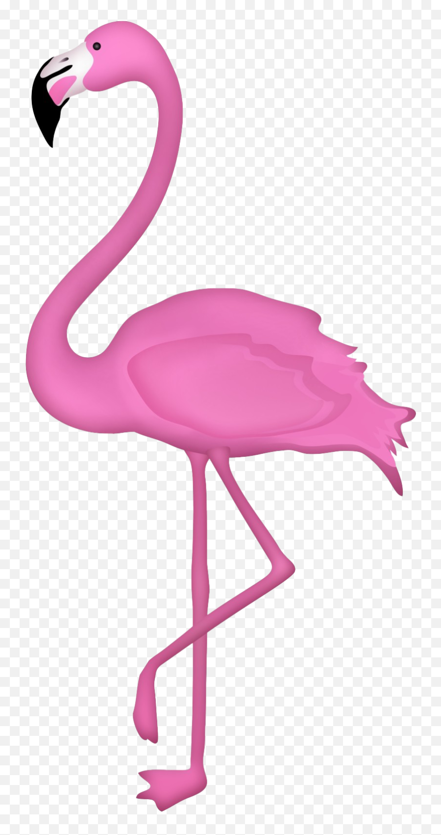 Flamingo Png Clipart - Clipart Transparent Flamingo Png Emoji,Flamongo Emoji