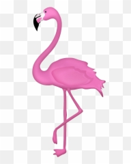 Flamingo Png Clipart - Clipart Transparent Flamingo Png Emoji,Flamongo Emoji
