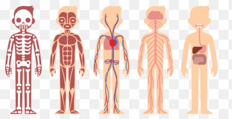 Body Language Vocabularycom Emoji,Body Posture Emotion Cards