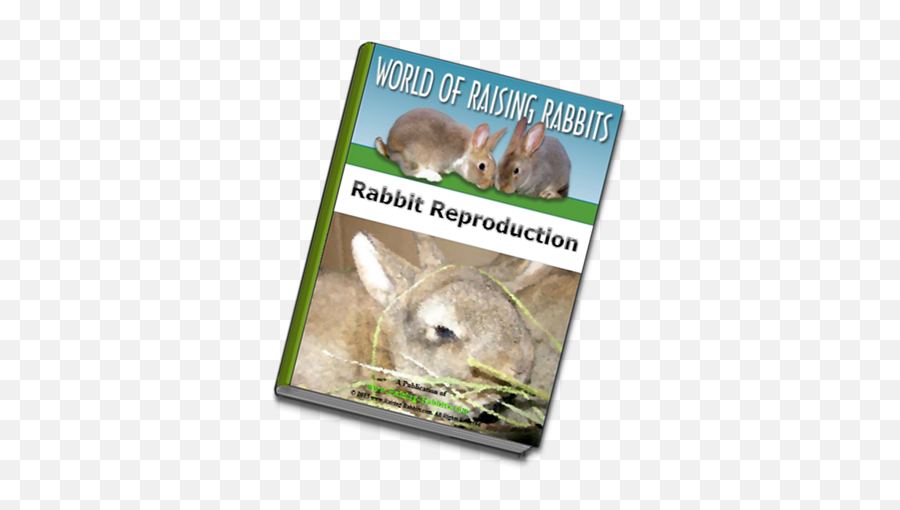 Rabbit Reproduction - Raising Rabbits Ebook On Breeding Rabbits Emoji,Farm Animal Phycology Emotion Books
