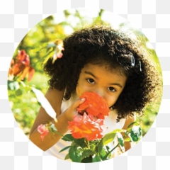 Using Nature Contact To Support Children Under Stress Naeyc Emoji,Nature, Feelings, Emotions