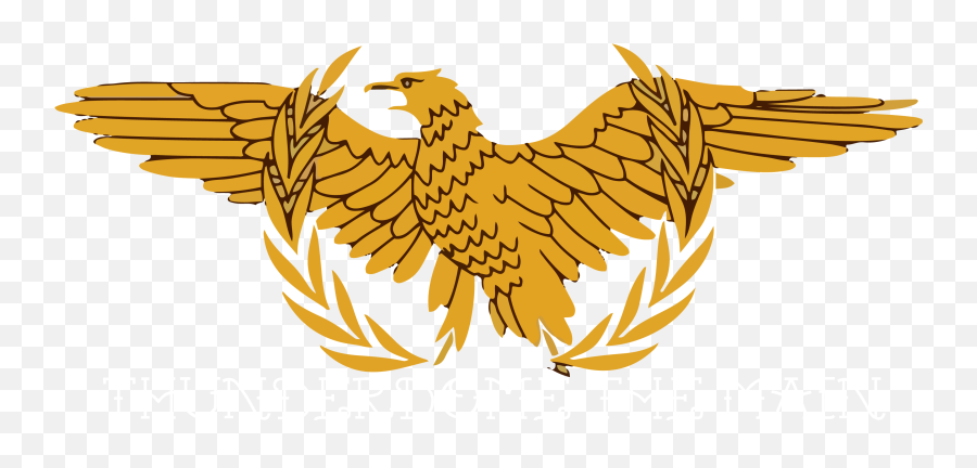 Thunderdomethe Main - Automotive Decal Emoji,Albanian Eagle Emoji
