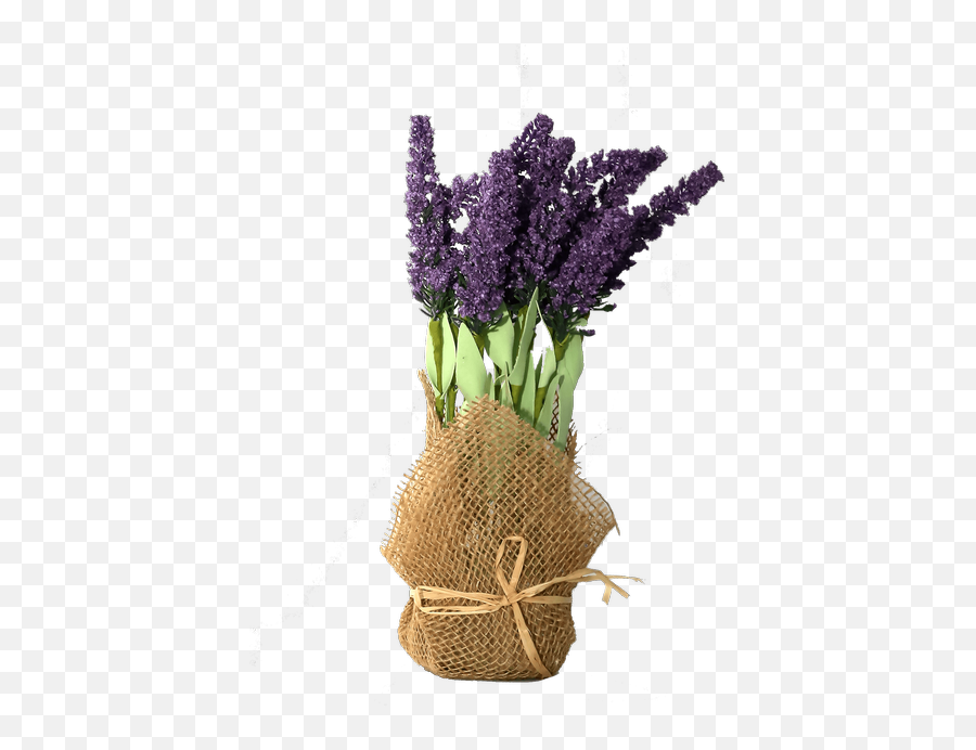 Gifts Royeru0027s Flowers And Gifts - Flowers Plants And Potted Lavender Png Emoji,Flower Pot Emoji