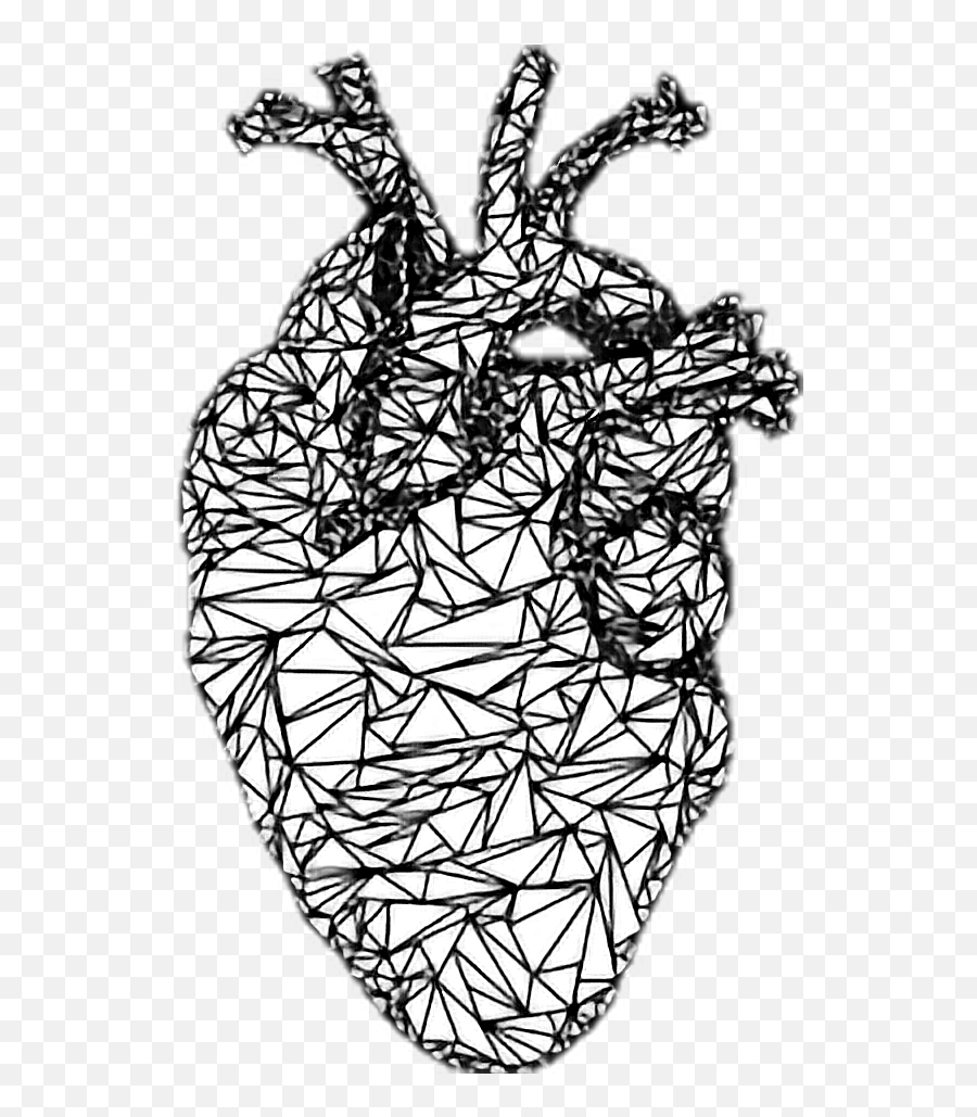 Heart Corazon Corazón Sticker By - Anatomically Correct Hearts Emoji,Corazon Blanco Emoji