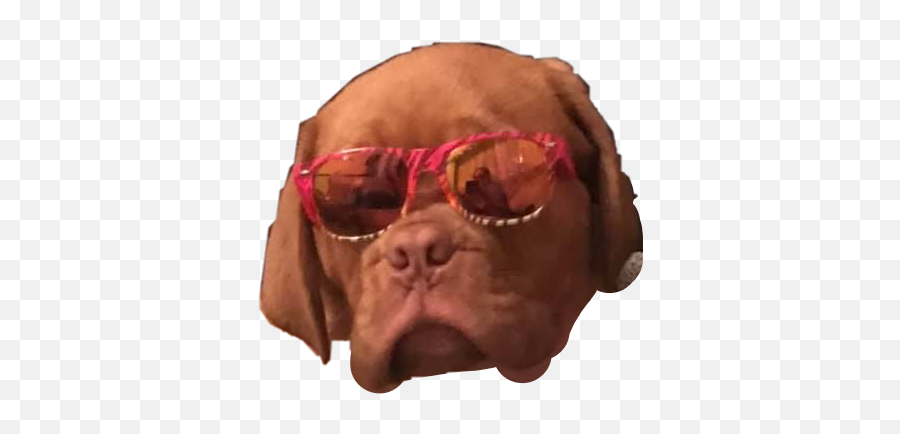 Cool Dog Glasses Mastiff Sticker - Full Rim Emoji,Dog With Glasses Emojis