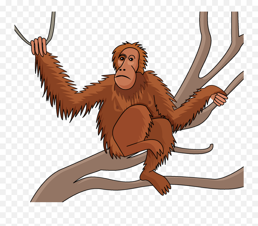 Orangutan Clipart - Old Monkey Clip Art Emoji,Ape Emojis