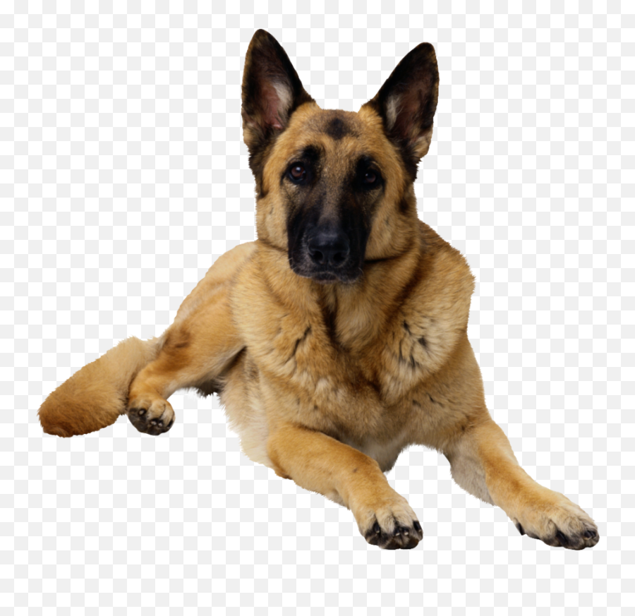 Dog Sticker - Alsatian Brown Emoji,German Shepherd Emoji Android