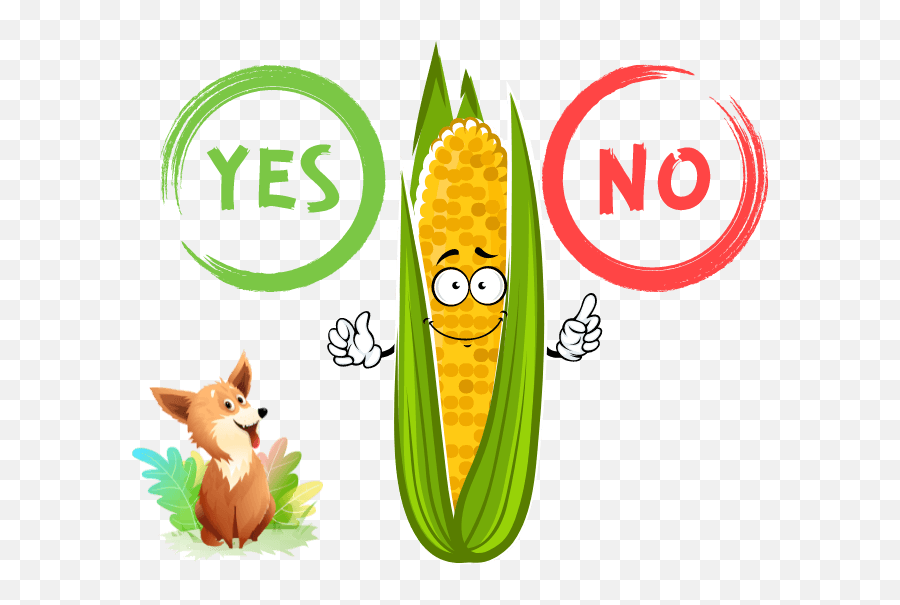 Corn For Dogs Can Dogs Have Corn Answered - Yes Ya No Emoji,Pancreas Emojis