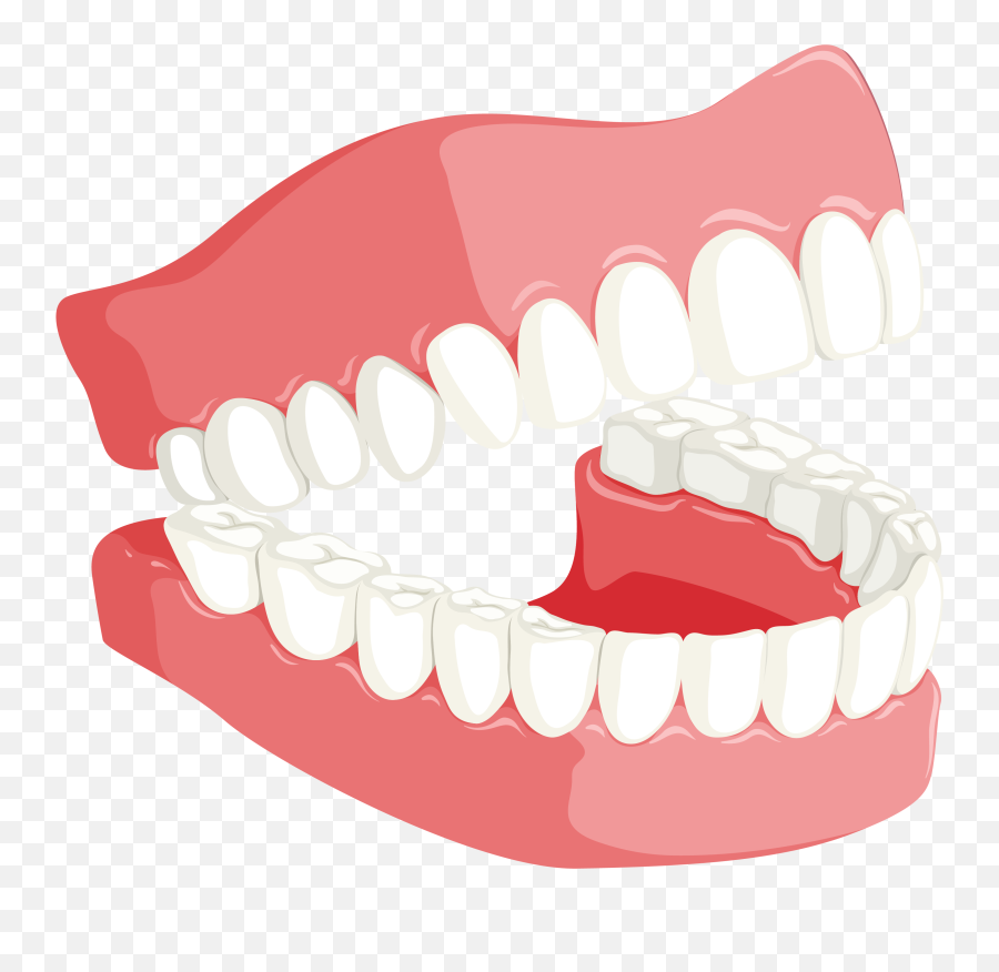 Dentist Training Teeth Model Drawing Free Image Download - Dental Png Emoji,Teeth And Emotions