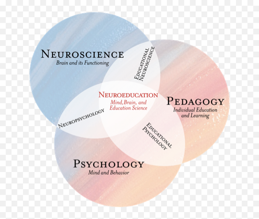 Educational Psychology Cognitive - Neuroscience Psychology And Education Emoji,Wordbrain Emotions Level 3
