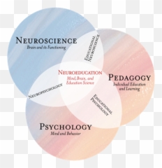 Educational Psychology Cognitive - Neuroscience Psychology And Education Emoji,Wordbrain Emotions Level 3
