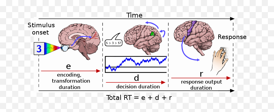 Mental Chronometry - Wikiwand Emoji,Emotions Brain Scan Reacts Before Seeing Card