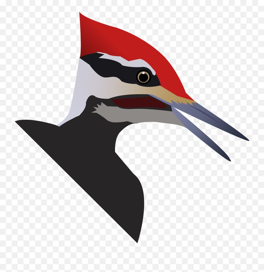 Mediabirder - Pileated Woodpecker Emoji,Woodpecker Emoji