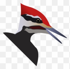 Mediabirder - Pileated Woodpecker Emoji,Woodpecker Emoji