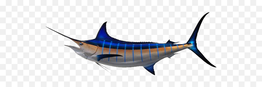 Download Marlin - Swordfish Emoji,Swordfish Emoji