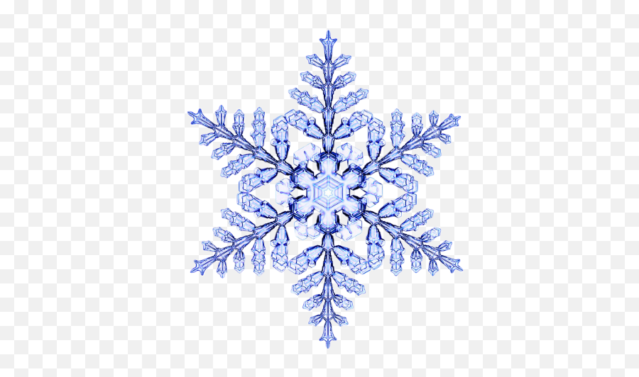 Scsnowflakes Sticker By Aleksandra Mitov - Snowflake With White Background Emoji,Microscope Emoji