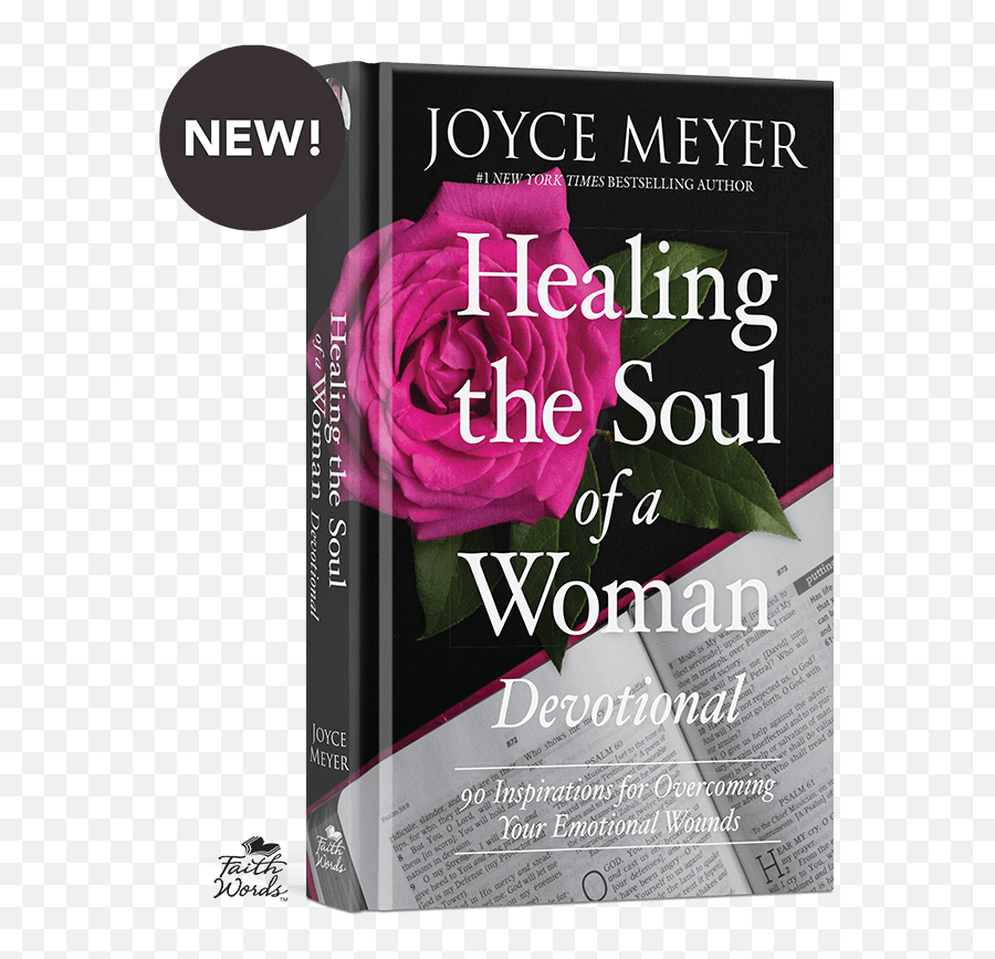 Devotional - Joyce Meyer Healing The Soul Of A Woman Devotional Emoji,Christ Redeeming Our Emotions