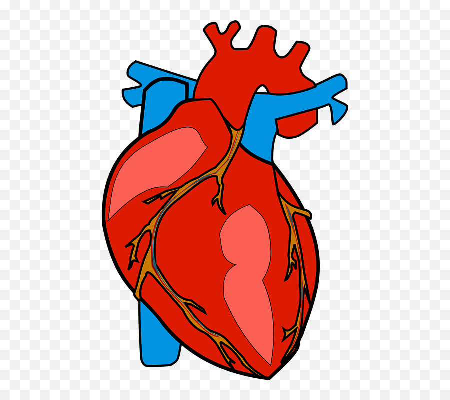 Aisd Social And Emotional Learning - Heart Organ Clipart Emoji,Happy Emotions Acrostic Poem