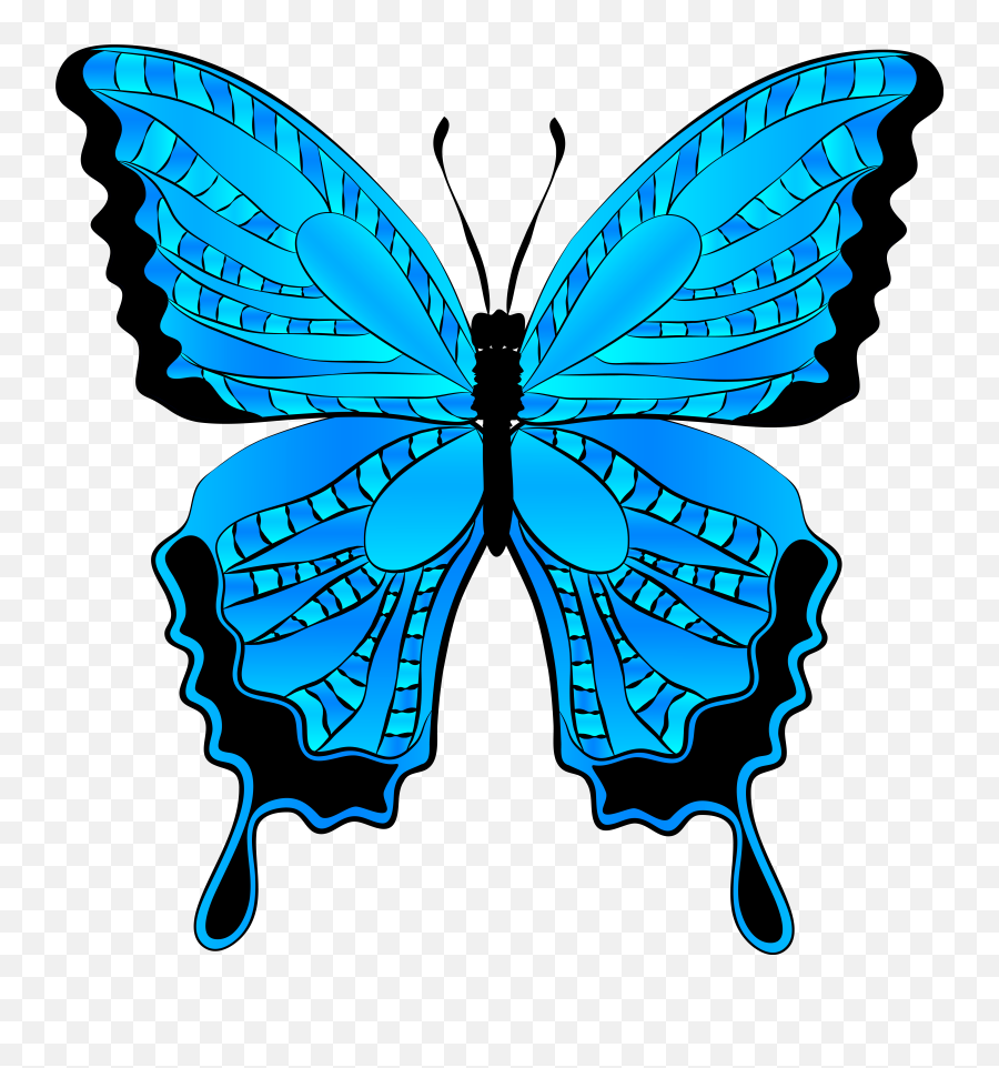 Pin On Diy Arts And Crafts - Blue Butterfly Clipart Emoji,Catus Emoji Clip Art