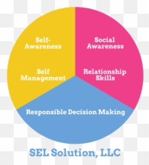 Sel Solution Llc Emoji,All Emotions