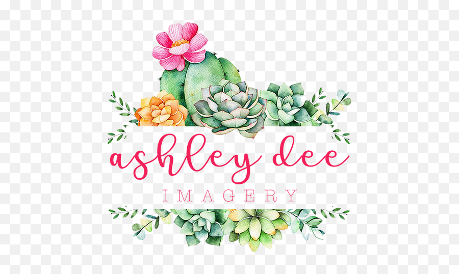 Ashley Dee Imagery - About Cactus And Succulents Background Logo Emoji,Im Sleepy Emojis