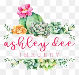 Ashley Dee Imagery - About Cactus And Succulents Background Logo Emoji,Im Sleepy Emojis