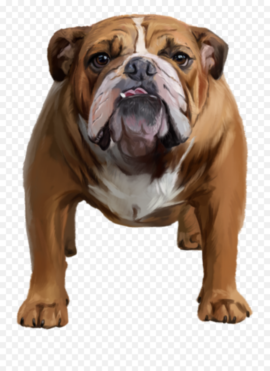The Most Edited - Bulldog Emoji,English Bulldog Emoji
