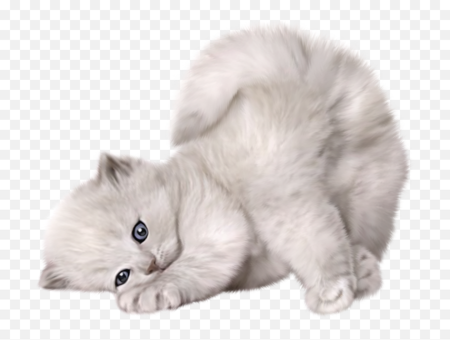 Cute Cat Psd Official Psds Emoji,Adorable Cat Emojis