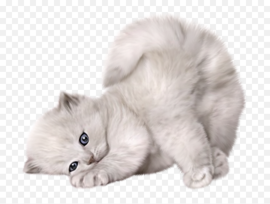 Cute Cat Psd Official Psds Emoji,Adorable Cat Emojis - Free Emoji PNG ...