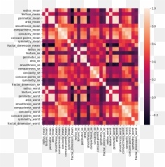 Copyassignmentcom Emoji,Emoji Jpython Notebook