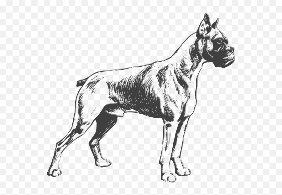 Dog Clipart Boxer Dog Boxer Transparent Free For Download - Boxer Dog Line Vector Emoji,Emoji Boxers